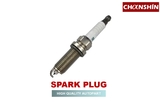 SP-19-CRN